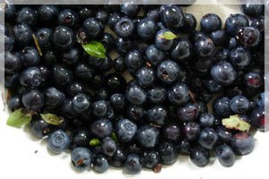 Blueberry, wild berries, buy n Kiev, Ukraine