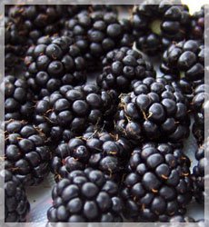 Blackberry, wild berries, buy in Kiev, Ukraine