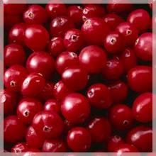 Cranberry, wild berries, buy in Kiev, Ukraine