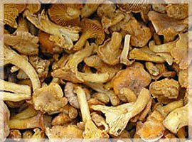 where can i buy chanterelles