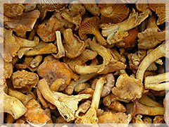 chanterelle mushrooms frozen