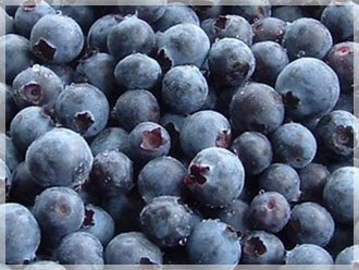 to buy frozen blueberries