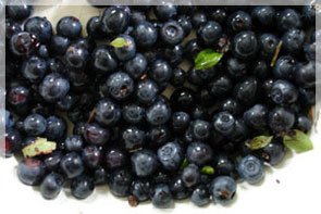 Frozen blueberry price