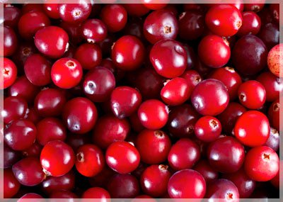 Where can I buy cranberries