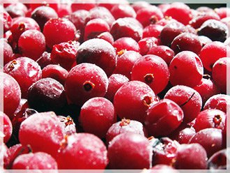 Frozen cranberries price