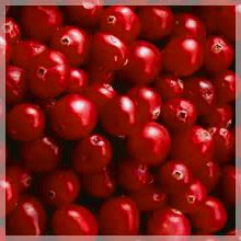 frozen cranberry price