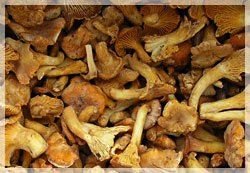 to buy frozen chanterelles 