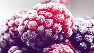 Frozen raspberry, price