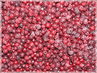 to buy frozen lingonberry