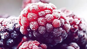 To buy frozen raspberry wholesale