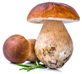 To buy frozen cep