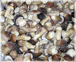 Frozen white mushrooms, price